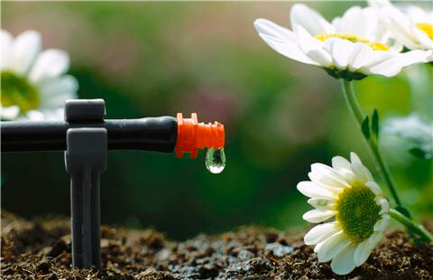 Kapljični namakalni sistem