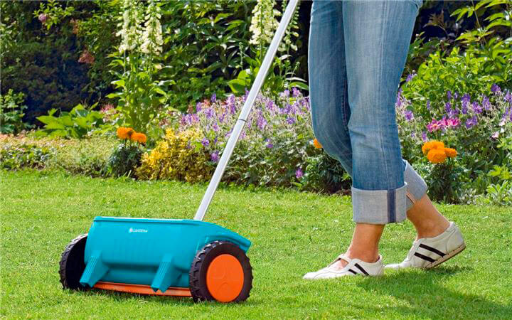 Nega trave, nega zelenice